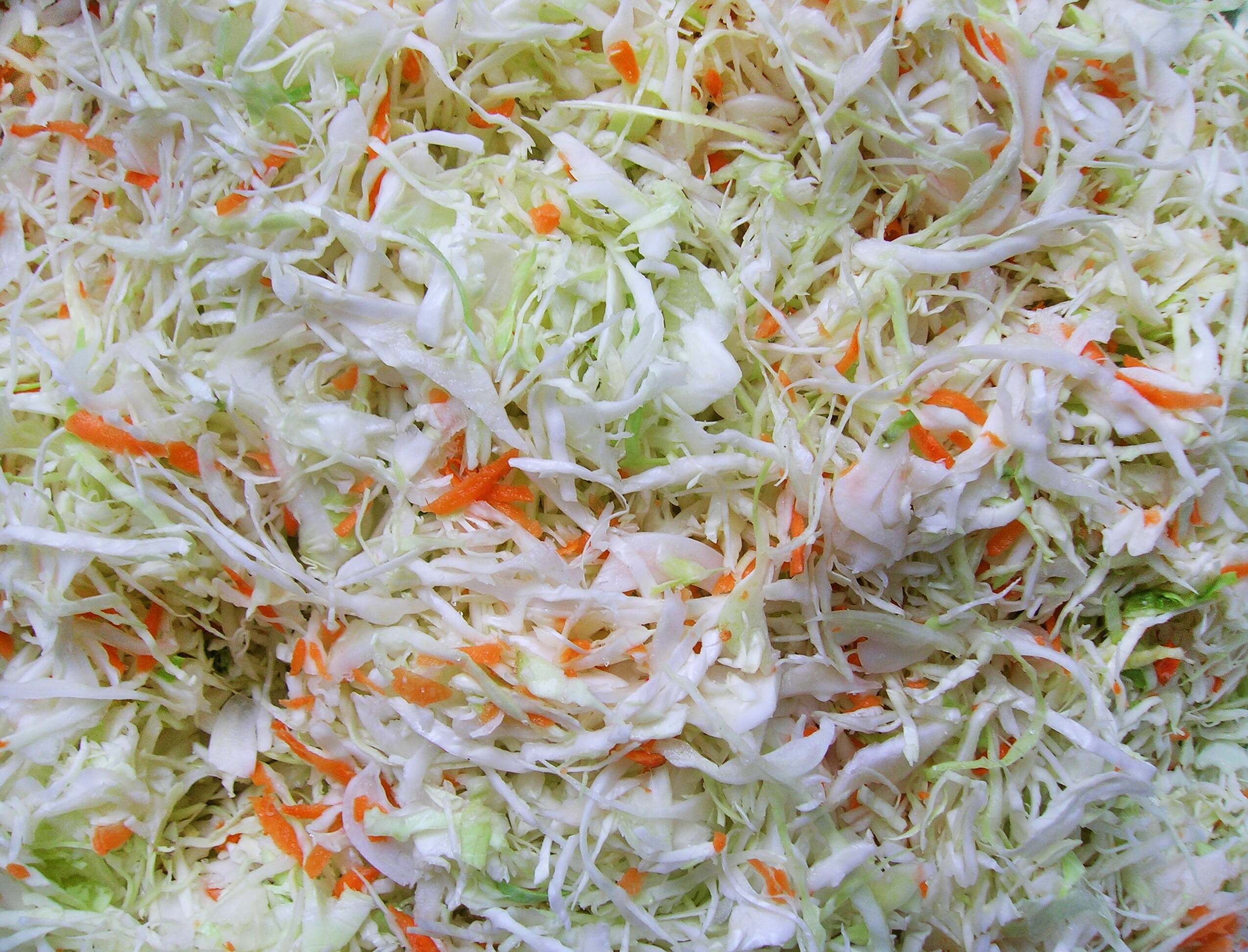 Surkål